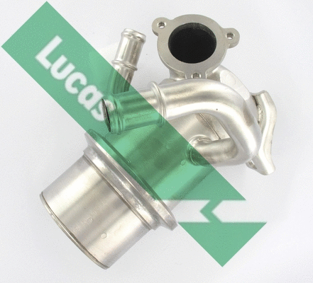 Cooler, exhaust gas recirculation (FDR615)