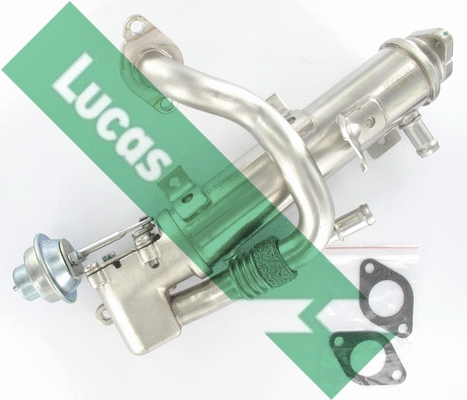 Cooler, exhaust gas recirculation (FDR603)