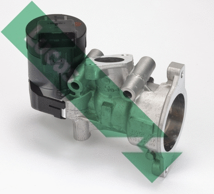 EGR Valve