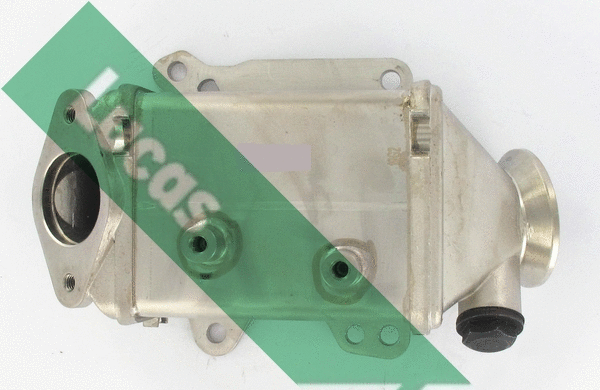Cooler, exhaust gas recirculation (FDR619)