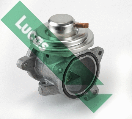 EGR Valve (FDR255)