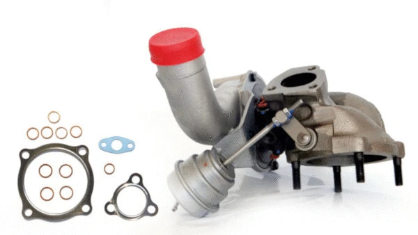 Charger, charging (supercharged/turbocharged) (LTRPA53039880011)