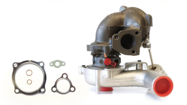 Charger, charging (supercharged/turbocharged) (LTRPA53039880053)