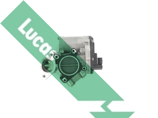 EGR Valve (FDR413)