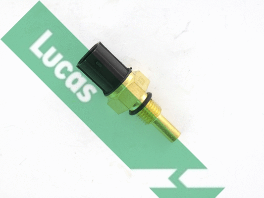 Sensor, coolant temperature (SNB1006)