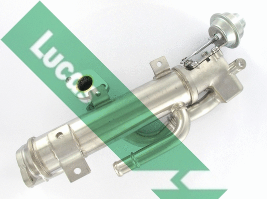 Cooler, exhaust gas recirculation (FDR487)