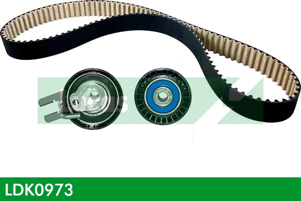 Timing Belt Kit (LDK0973)