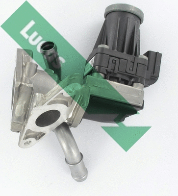 EGR Valve