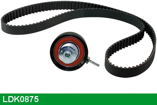 Timing Belt Kit (LDK0875)