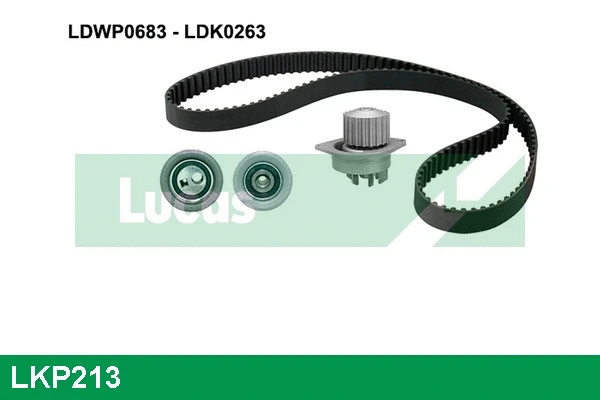 Water Pump & Timing Belt Kit (LKP213)