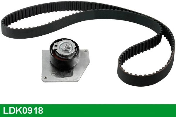 Timing Belt Kit (LDK0918)