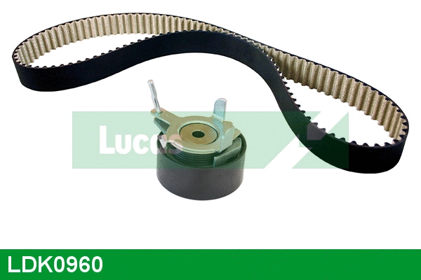 Timing Belt Kit (LDK0960)