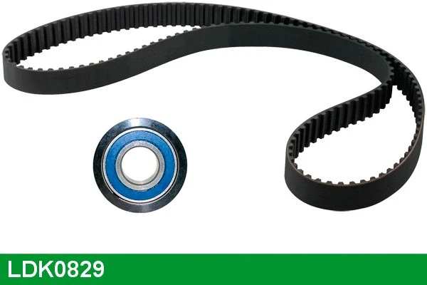 Timing Belt Kit (LDK0829)
