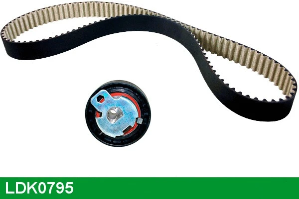 Timing Belt Kit (LDK0795)