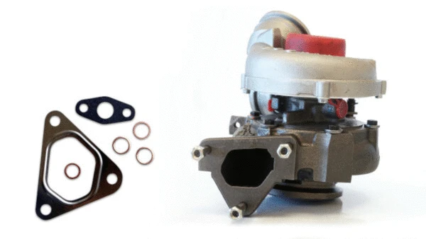 Charger, charging (supercharged/turbocharged) (LTRPA7098381)