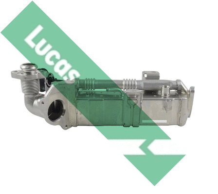 Cooler, exhaust gas recirculation (FDR5031)