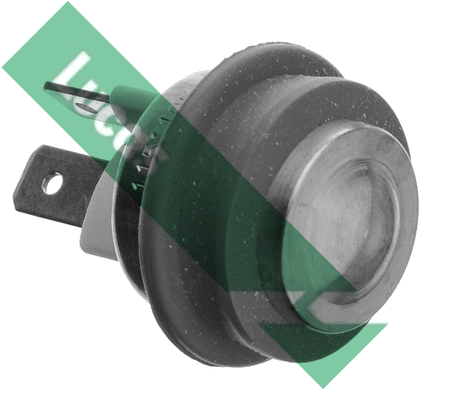 Temperature Switch, radiator fan