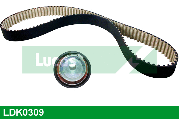 Timing Belt Kit (LDK0309)