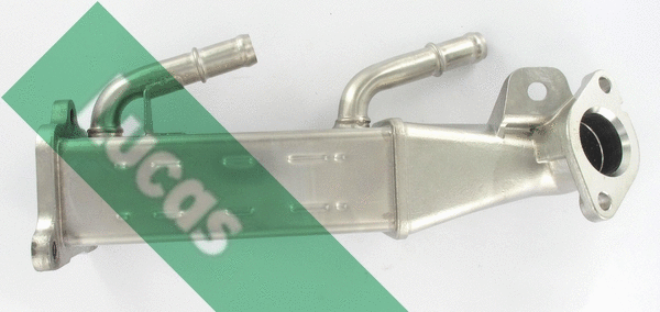 Cooler, exhaust gas recirculation (FDR609)