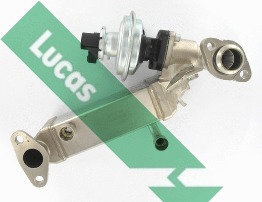 Cooler, exhaust gas recirculation (FDR607)