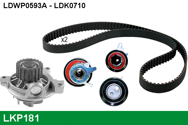 Water Pump & Timing Belt Kit (LKP181)
