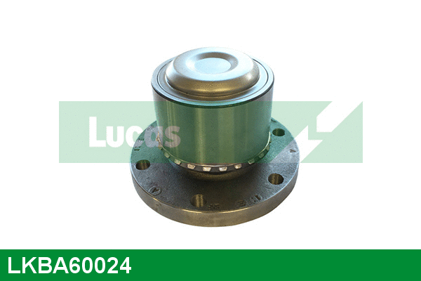 Wheel Bearing Kit (LKBA60024)