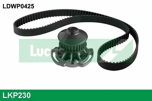 Water Pump & Timing Belt Kit (LKP230)