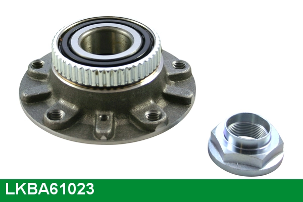 Wheel Bearing Kit (LKBA61023)