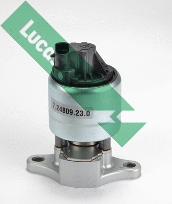 EGR Valve (FDR300)