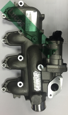 EGR Valve (FDR411)
