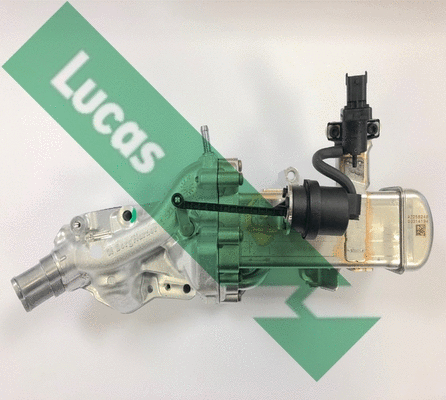 Cooler, exhaust gas recirculation (FDR617)