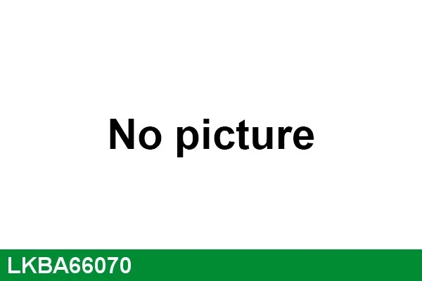 Wheel Bearing Kit (LKBA66070)