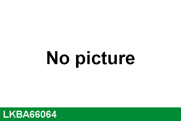 Wheel Bearing Kit (LKBA66064)