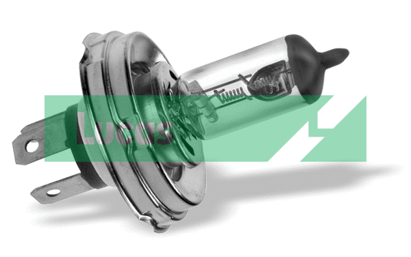 Bulb, spotlight (LLB024)