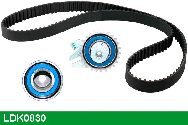 Timing Belt Kit (LDK0830)