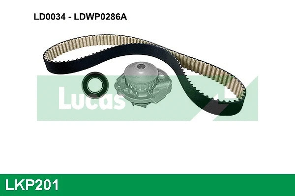 Water Pump & Timing Belt Kit (LKP201)