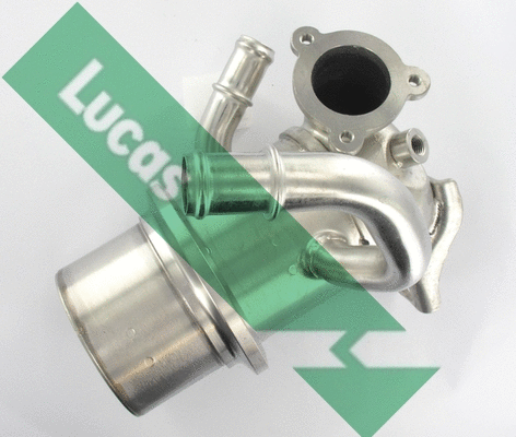 Cooler, exhaust gas recirculation (FDR614)
