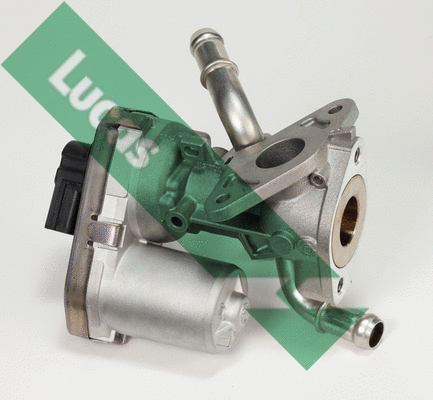 EGR Valve
