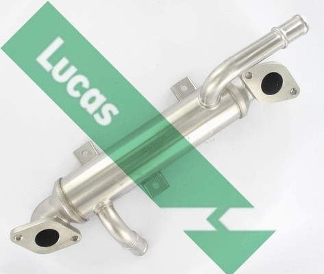 Cooler, exhaust gas recirculation (FDR611)