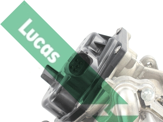 EGR Valve
