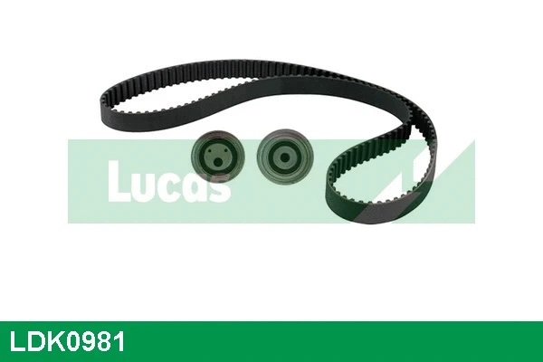 Timing Belt Kit (LDK0981)