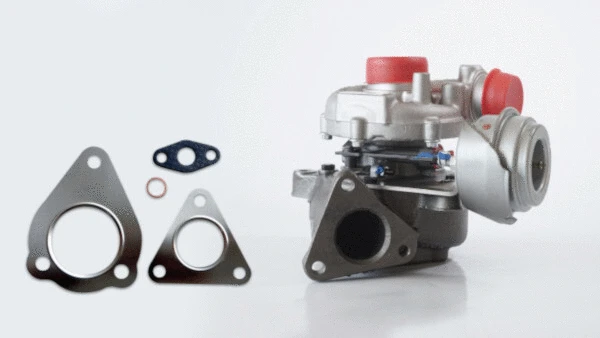 Charger, charging (supercharged/turbocharged) (LTRPA7018542)