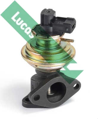 EGR Valve (FDR118)