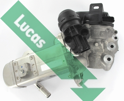 EGR Valve (FDR408)