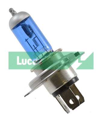 Bulb, headlight (LLX484BLX2)