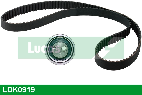Timing Belt Kit (LDK0919)