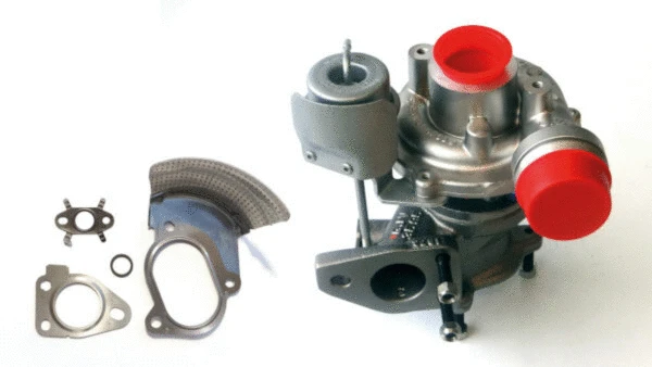Charger, charging (supercharged/turbocharged) (LTRPA54359880028)
