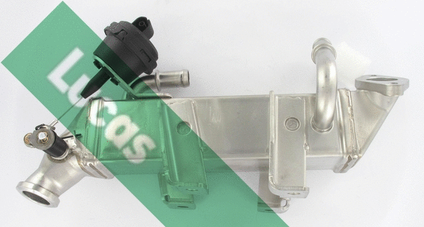 Cooler, exhaust gas recirculation (FDR624)