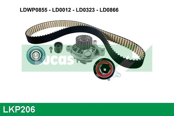 Water Pump & Timing Belt Kit (LKP206)