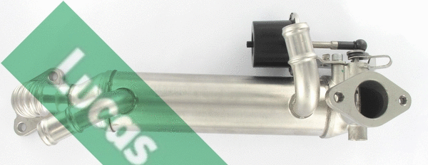 Cooler, exhaust gas recirculation (FDR598)